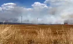 Tekirdağ’da anız yangını mahalleyi tehdit etti