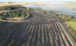 Tekirdağ’da çıkan yangında bin 500 dekarlık tarım arazisi zarar gördü