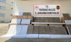 Tekirdağ’da jandarmadan silah ve kaçak makaron operasyonu
