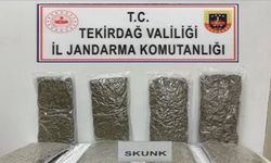 Tekirdağ’da otoyol gişelerinde 12 kilogram skunk ele geçirildi