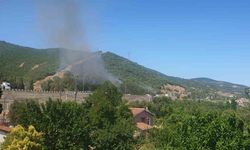 TEM Otoyolu kenarında başlayan yangın ormana sıçradı: 2 saatte söndürüldü