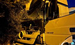 Tır sürücüsü uyudu, ortalık savaş alanına döndü: Önce üste geçide ardından da ağaç ile 2 araca çarptı