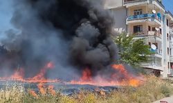 Tokat’ta arazide çıkan yangın evlere sıçramadan söndürüldü