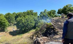 Tunceli’de yangın köye sıçramadan engellendi