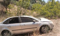 Uyuklayan sürücü eşinin ikazıyla panikleyip şarampole uçtu
