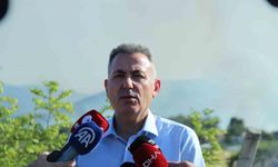 Vali Elban’dan Bornova yangını açıklaması: "Enerjisi düşmüş durumda"