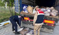 Van’da 19 ton 200 kilo inci kefali balığı ele geçirildi