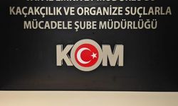 Van’da 30 milyon TL değerinde 7 kilo altın ele geçirildi