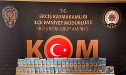 Van’da gümrük kaçakçılığı operasyonu