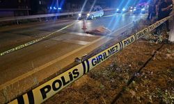 Yaşlı kadının hayatını kaybettiği kazada, sürücü serbest bırakıldı