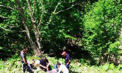 Zonguldak’ta 80 metreden şarampole devrilen otomobildeki 3 kişi yaralandı