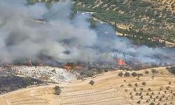 Aliağa'da orman yangını! Havadan ve karadan müdahale