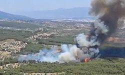Bornova'daki orman yangınıyla ilgili İzmir Valisi Elban'dan açıklama!