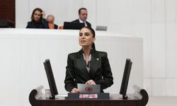 CHP'li Özcan’dan kıyı talanına tepki: Kıyılar ranta açılacak