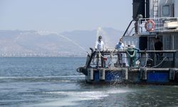 Bostanlı Sahili “Deniz Marulu” ile kaplandı