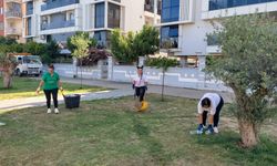 Efeler'in yeşil alanları temiz ve bakımlı