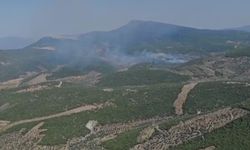 İzmir Torbalı'da orman yangını...