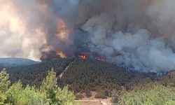 Foça'da yangın: Müdahale sürüyor!