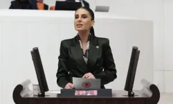 CHP’li Özcan’dan Dalaman Çayı uyarısı... Su güvenliği tehlikede