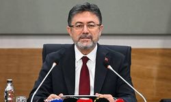 İzmir’de ormana benzin dökerek yangın çıkartan şahıs gözaltına alındı