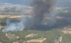 İzmir'de bir yangın daha: Bornova'daki ormanlık alandan alevler yükseldi!