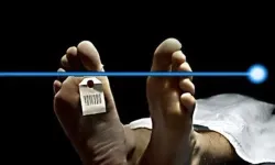 2024’te ölüm sayısı düştü... Ölüm hızı binde 5,7’ye geriledi