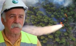Orman mühendisi Şükrü Durmuş: Enerji hatları denetlenmiyor, ormanlar yanıyor