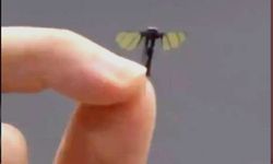 Çin'de sivrisinek boyutunda savaş dronu geliştirildi