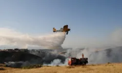Bir kıvılcım binlerce hektarı yok ediyor... İşte yangınların çıkış nedeni