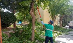 EFELER'DE YAZ TEMİZLİĞİ HIZ KESMİYOR: VATANDAŞLARDAN BAŞKAN YETİŞKİN'E TEŞEKKÜR