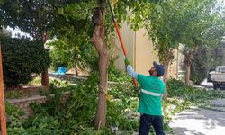 Efeler'de yaz temizliği devam ediyor