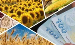 Çiftçilere 1,7 milyar TL’lik destek ödemesi hesaplarda