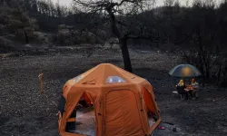 İzmir'de yanan ormanda kamp ile farkındalık
