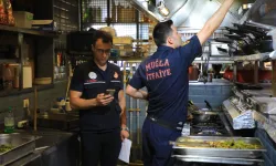 Muğla Büyükşehir’den koordineli mücadele
