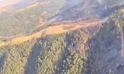 Uşak ve Bilecik’te yangınlar kontrol altında...