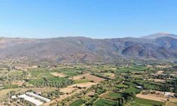3 gündür devam eden orman yangını sonrası Ödemiş’in dağları siyaha büründü