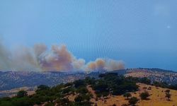 Ayvacık’ta başlayan orman yanınına müdahale ediliyor