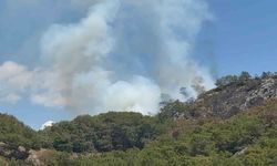 Gazipaşa’da ormanlık alanda yangın