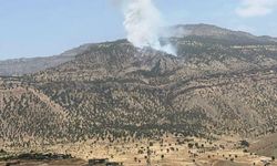 Hakkari’de orman yangını