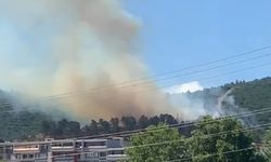 Kocaeli’de orman yangını çıktı