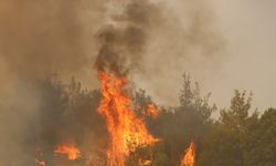 Kula’da orman yangınına müdahale sürüyor