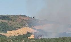 Manyas’ta orman yangını: Havadan müdahale sürüyor