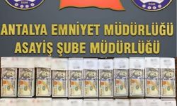 MİT görevlisi kılığına girip 10 milyonluk dolandırmak istedi