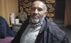 Kestiği ağaç üzerine devrilen orman işçisi hayatını kaybetti