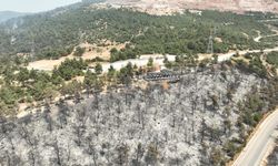 Tarihinin en büyük yangınından yürek burkan bu manzaralar kaldı