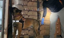 TEM’de durdurulan araçtan 9 kilo kokain ele geçirildi