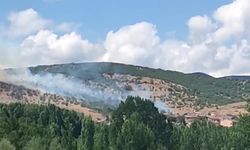 Tokat’taki yangında alevler yerleşim alanına ulaşmadan söndürüldü