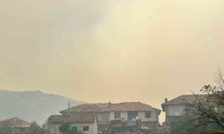 Uşak’ta yangına havadan ve karadan müdahale... 1 köy tahliye ediliyor