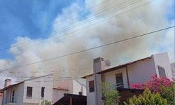 Yangınlar Çeşme’ye sıçradı: Otluk alanda çıkan yangına müdahale sürüyor