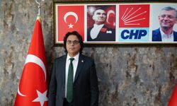 CHP Denizli İl Başkanı Horzum'dan 'Yeliz'e suç duyurusu
